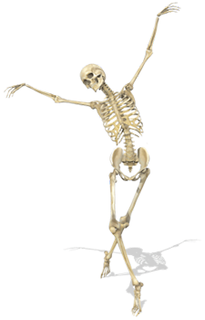 Osteopathie